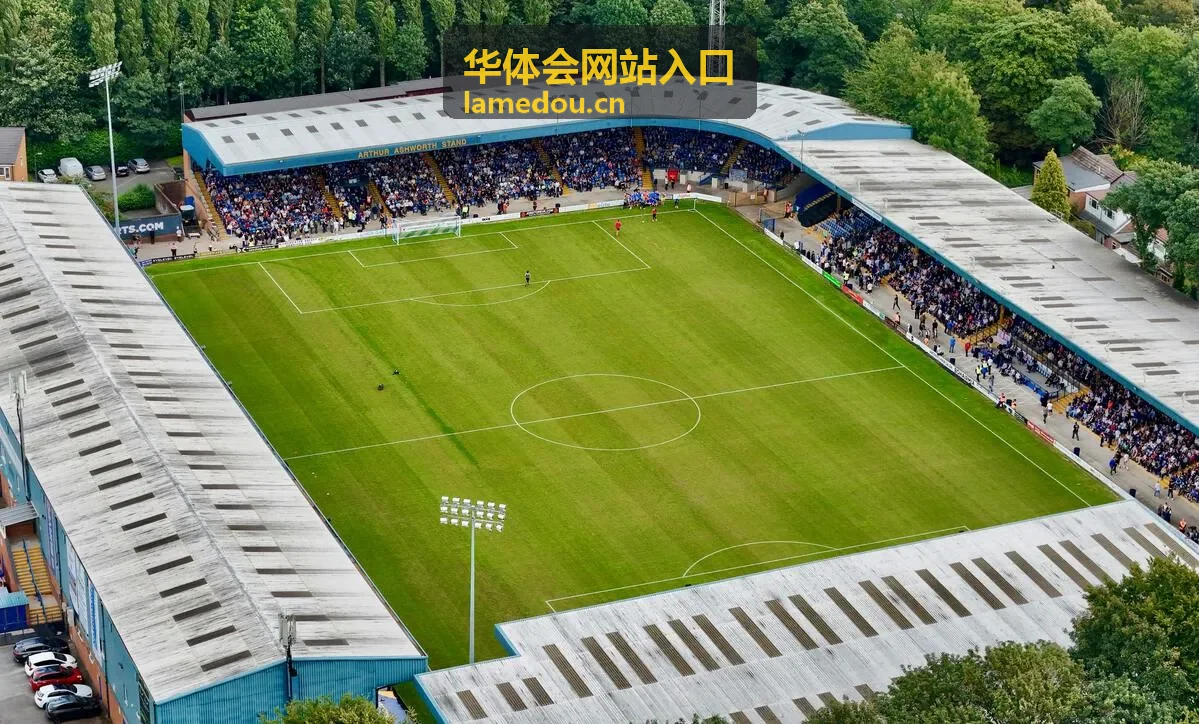 华体会网站入口信息整理与核对场景