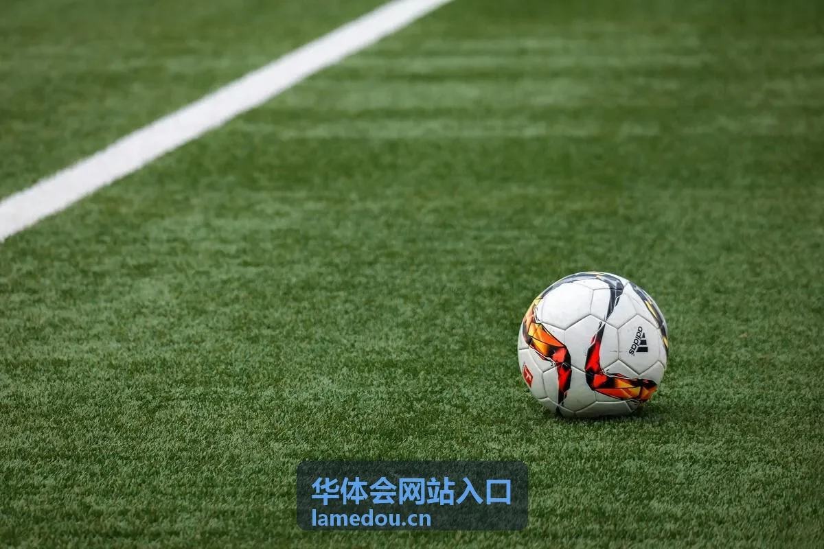 华体会网站入口页面显示异常配图